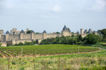 Fototapeta na wymiar Castle and city walls of Carcassonne