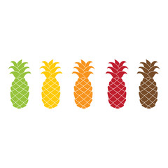Flat pineapple icon set colorful.