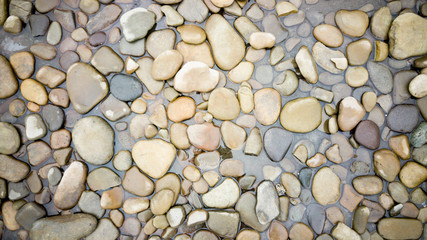 Top view on colorful pebbles covered by water