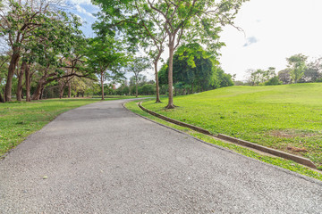 The landscap park and grass in city