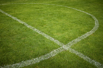Fototapeta premium Lines on soccer field
