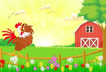 cute rooster crowing in the farm fence