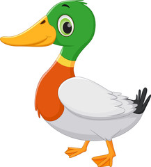 cute duck cartoon