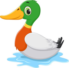 funny Cartoon duck swimming