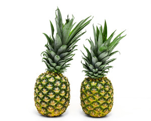 Fototapeta premium Pineapple