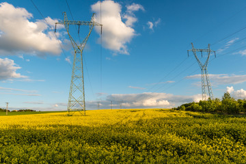 Rape Field and electric poles