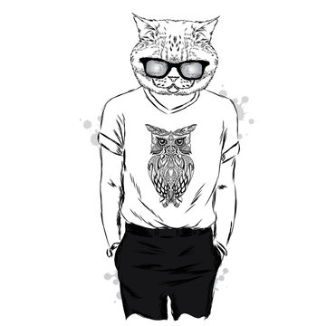 Cat T-shirt with a print and glasses. Vector illustration. Print for clothes , cards or posters .
