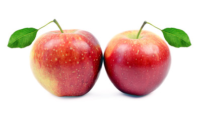 apples