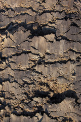 The soil surface