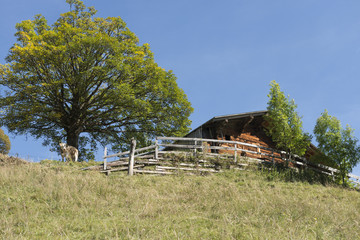 Schweiz, Landschaft bei Frutigen