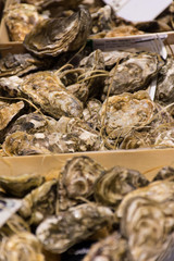 macro detail of oysters in a street market