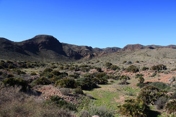 Fototapeta na wymiar Natural park Cabo de Gata
