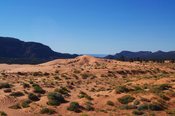 Coral Pink Sand Dunes | Utah | USA