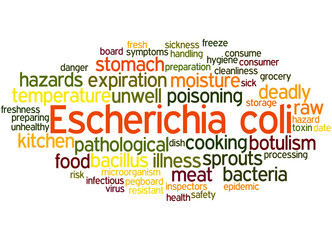 Obraz premium Escherichia coli, word cloud concept 3