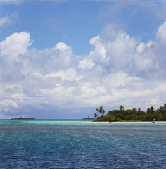 Malediveninsel mit Palmenstrand