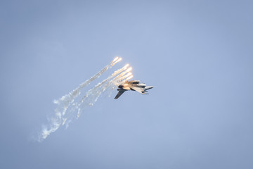 F 16, Polish forces during the demonstrations in Latkowo, 2016.0