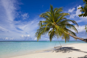 Maledivenstrand mit Palme und Schaukel