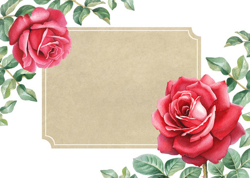 Watercolor illustration of a rose flower. Perfect for greeting c
