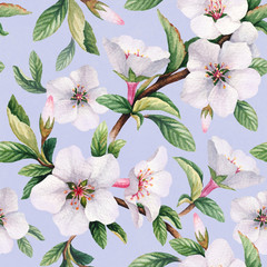 Fototapety  Seamless pattern with watercolor illustrations of cherry flowers