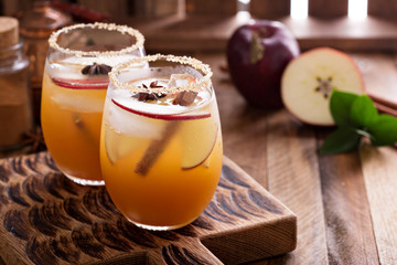 Apple cider cocktail with cinnamon - obrazy, fototapety, plakaty