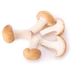 mushroom on the White background