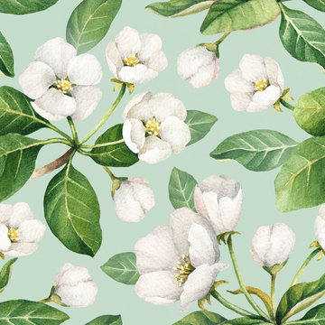 Seamless pattern with watercolor illustrations of apple flowers