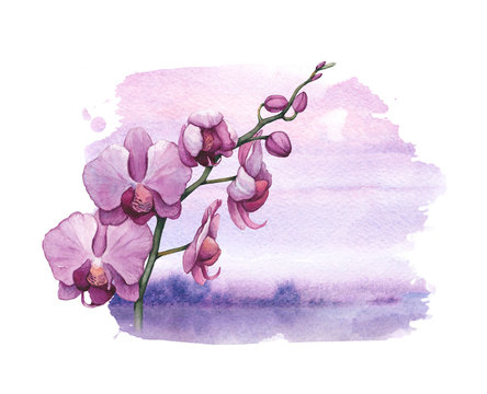 Background with watercolor orchid flowers