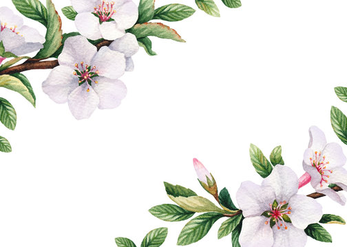 Background with watercolor cherry flowers