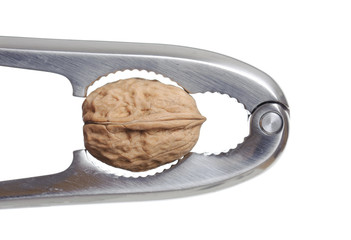 Nutcracker and walnut