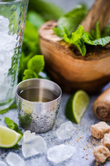Cuban Mijito for summer party