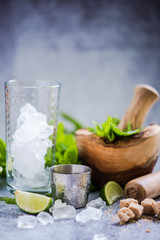 Cuban Mijito for summer party