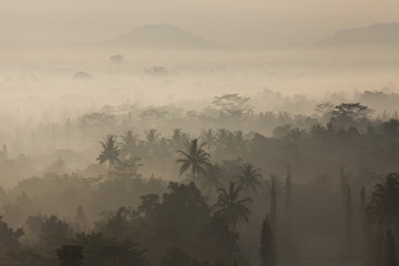 Thick fog in the early morning on the Indonesian island of Java  