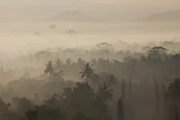 Poster Im Rahmen Dichter Nebel am frühen Morgen auf der indonesischen Insel Java © pop_gino