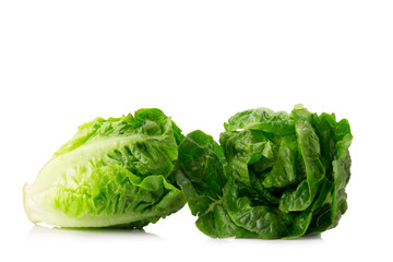 fresh baby cos (lettuce) on white background