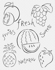Vector fruits pattern. Fruits seamless background