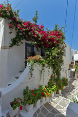 Fototapeta na wymiar House with flowers in Naxos island, Cyclades
