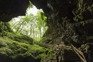 Cave Stairs / A set of stairs leading out of a cave.