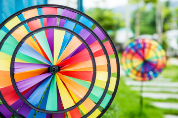 Obraz premium Colorful pinwheel in the garden