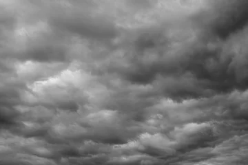 Papier Peint photo Ciel Gray, cloudy sky over horizon.