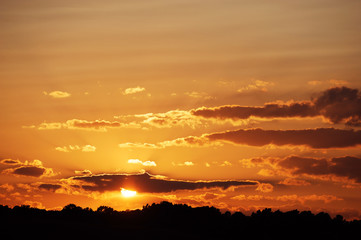 sunset sky and woods silhouette