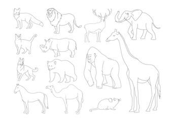 Outline animals