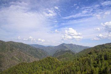 Summer Landscape: Mountains Covered by Trees and Blue Sky with White Clouds