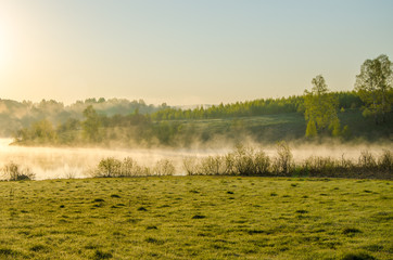 morning fog. around the lake grow birch .