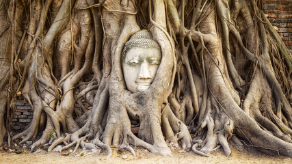 Buddha head in the tree roots at Wat Mahathat temple, Ayutthaya, Thailand. - Powered by Adobe