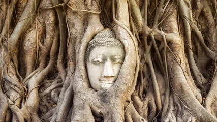 Zelfklevend Fotobehang Buddha head in the tree roots at Wat Mahathat temple, Ayutthaya, Thailand. © R.M. Nunes
