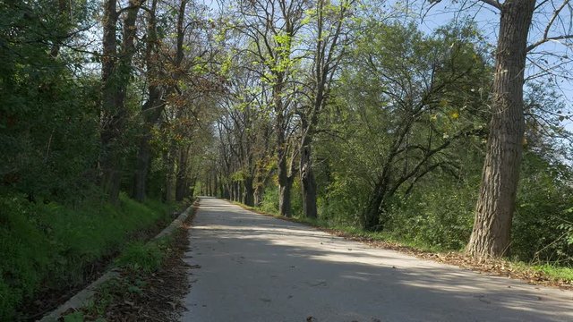 Park Kraljevica in Eastern Serbian city of Zajecar 4K 2160p UHD video - Kraljevica in Zajecar autumn forest background 4K UHD 3840X2160 footage 