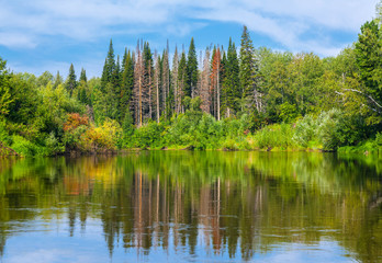 Chet river in the Tomsk region in western Siberia