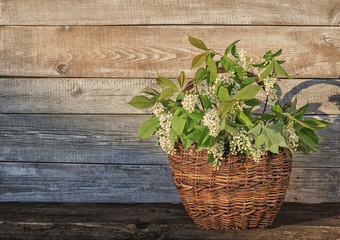 old basket with white flowers on the wood