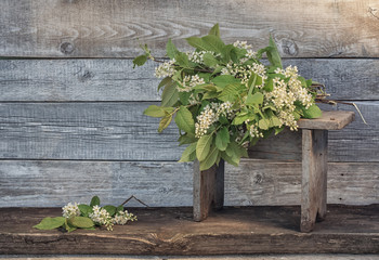 white flowers on the wooden bench