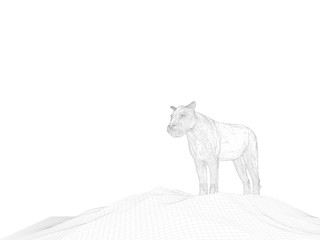 3d wireframe animal
